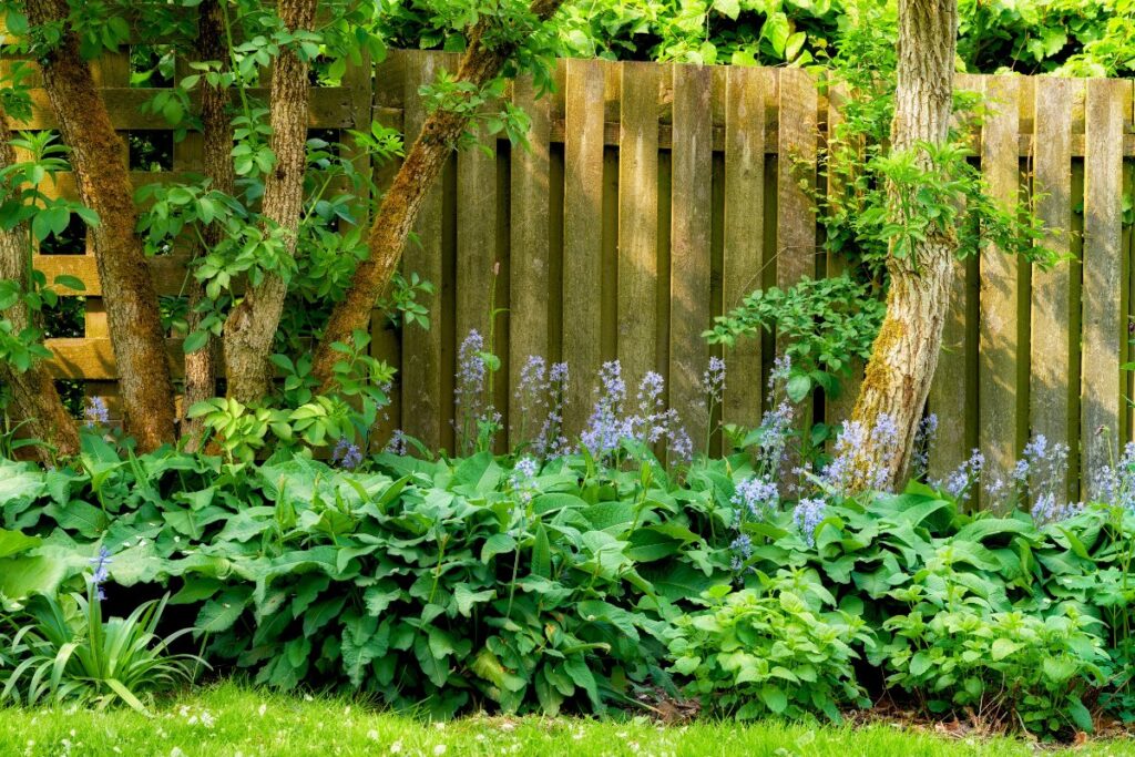 Bretter-Gartenzaun mit Pflanzen im Vordergrund
