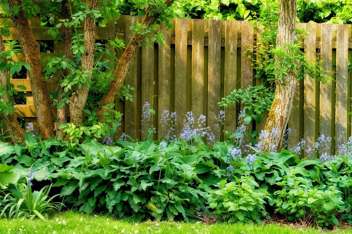 Bretter-Gartenzaun mit Pflanzen im Vordergrund